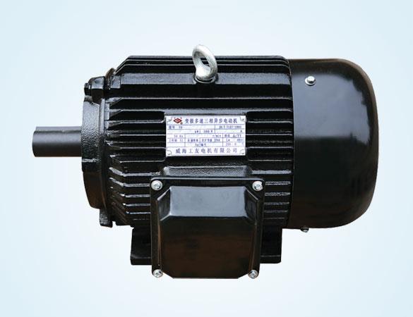 YD 系列变极多速三相异步电动机