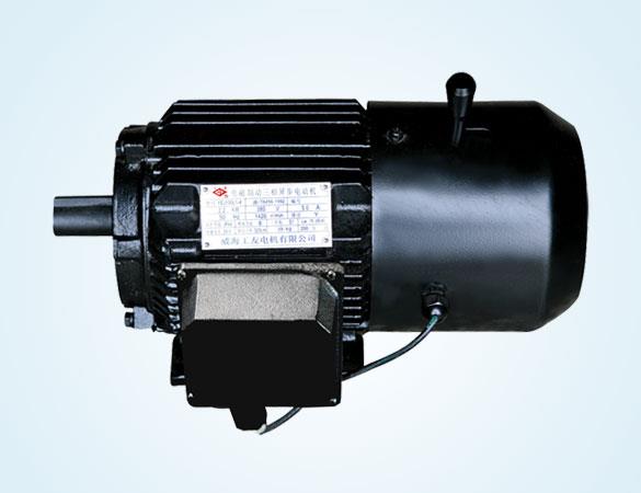 YEJ 系列电磁制动三相异步电动机