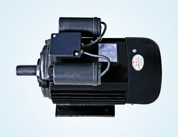 YLM 系列木工用双值电容异步电动机