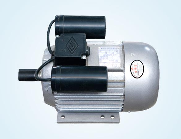 YL系列双值电容异步电动机