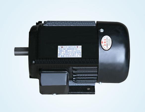 YS 系列三相异步电动机