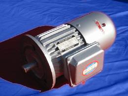 YEJ系列三相制动异步电动机