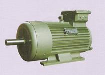 YZTD系列塔式起重机用多速三相异步电动机