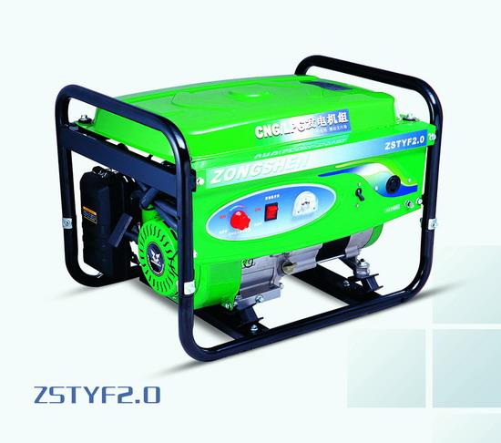 发电机 ZSTYF2.0