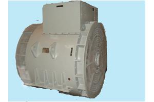 工频发电机TFW23003