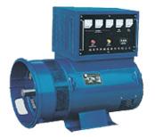 TZH 系列三相交流同步发电机