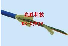 室内多芯铠装光缆