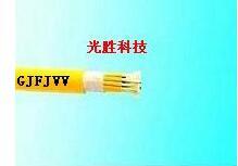 室内分支光缆