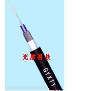 钢丝铠装中心束管式光缆