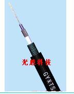 钢丝铠装束管式光缆