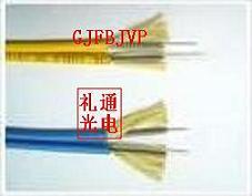 GJFBJVP室内双芯铠装光缆