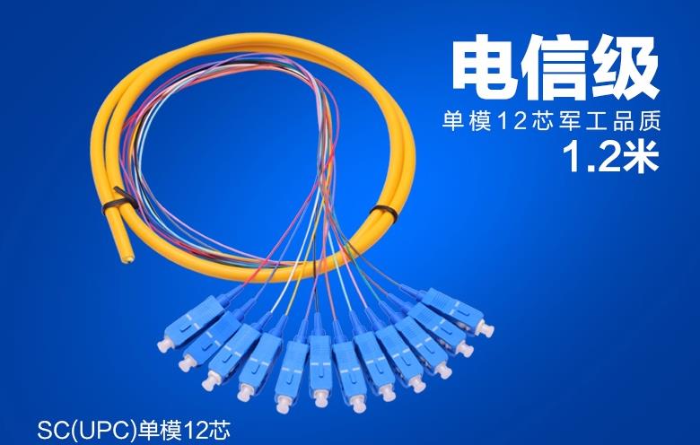 12芯SC单模束状尾纤
