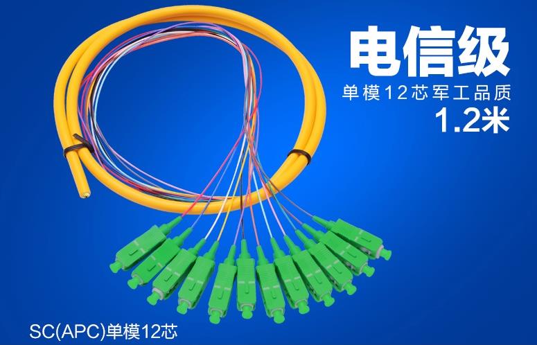 12芯SC/APC单模束状尾纤