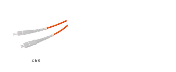 多模SC-SC跳线（双芯） FAM22-2-62.5-