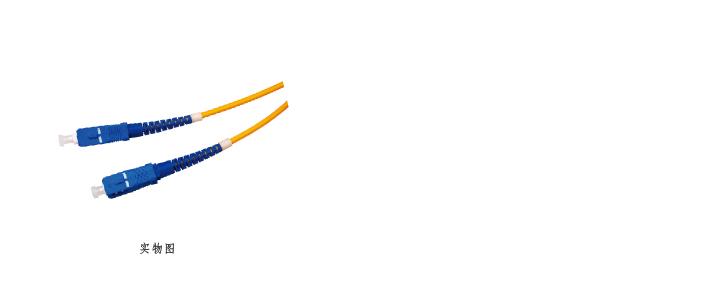 单模SC-SC跳线（双芯） FAS22-2-