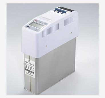 被控式智能电容器