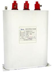 自愈式低电压并联电容器