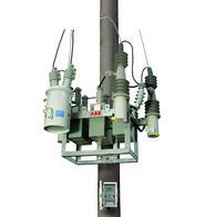 柱上式电容器组