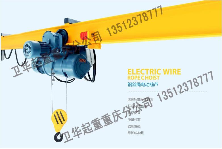 欧标钢丝绳电动葫芦