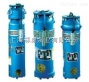 喷泉专用泵-潜水喷泉泵