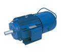 YEJ2系列电磁制动三相异步电机