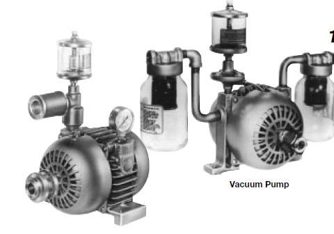 Lubricated 1065, 2065, 2565 Series Separate Drive Rotary Vane