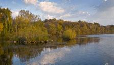 Tubing for Environmental Remediation