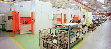 Automatic fettling machine