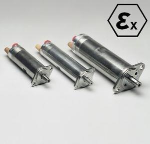 compact vane air motor